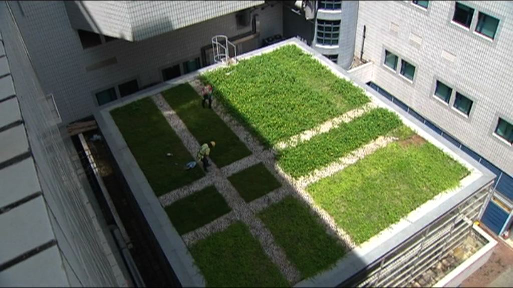 陳佐堅否認核准城大天台綠化工程