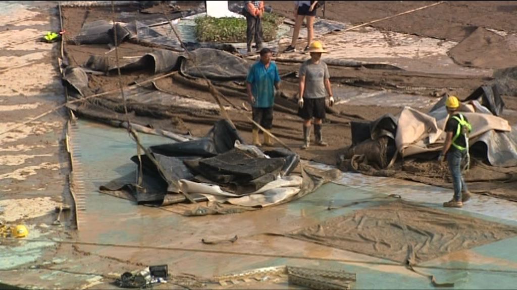 城大移走惠卿劇院天台植被