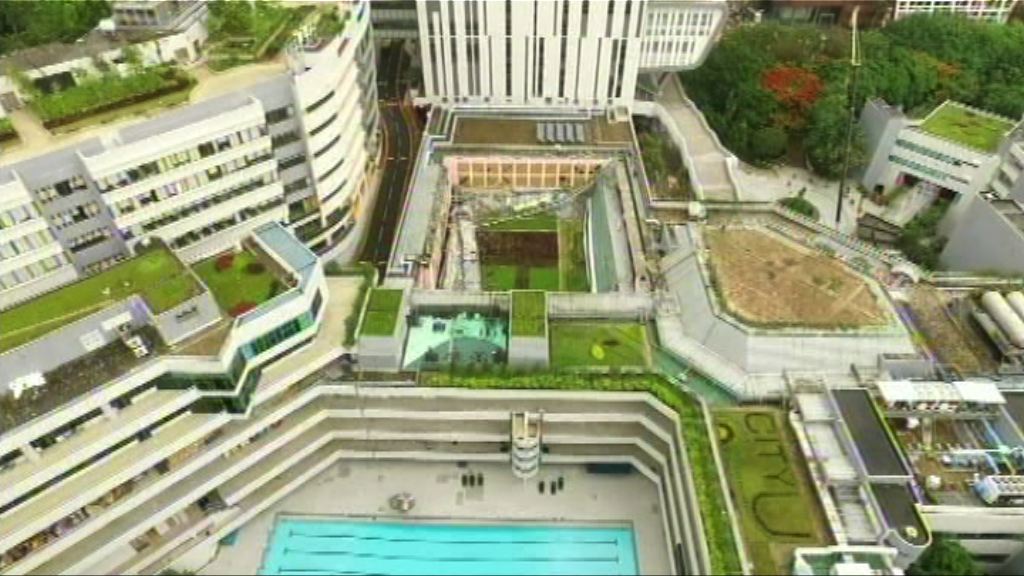 城大將盡快移除校內其他類似草被