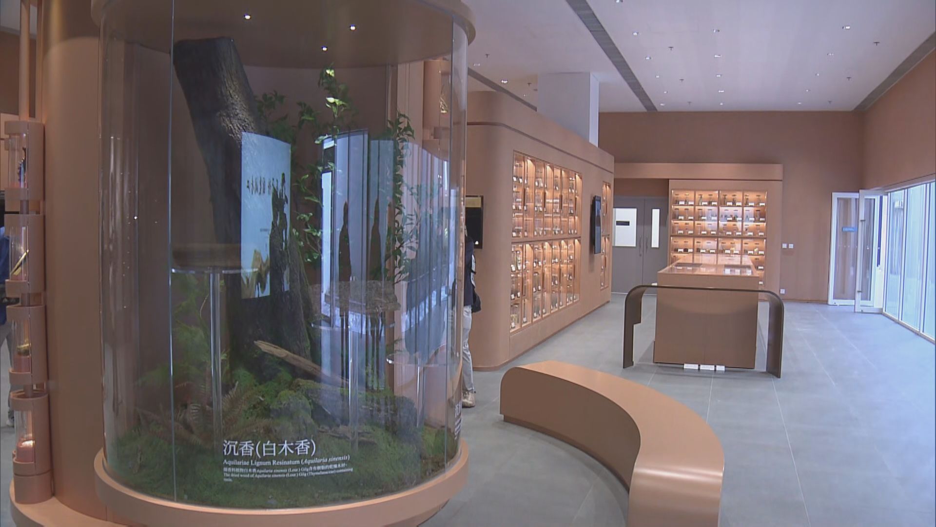 政府中藥檢測中心永久大樓第二季起分階段投入服務　部分設施將開放予市民參觀