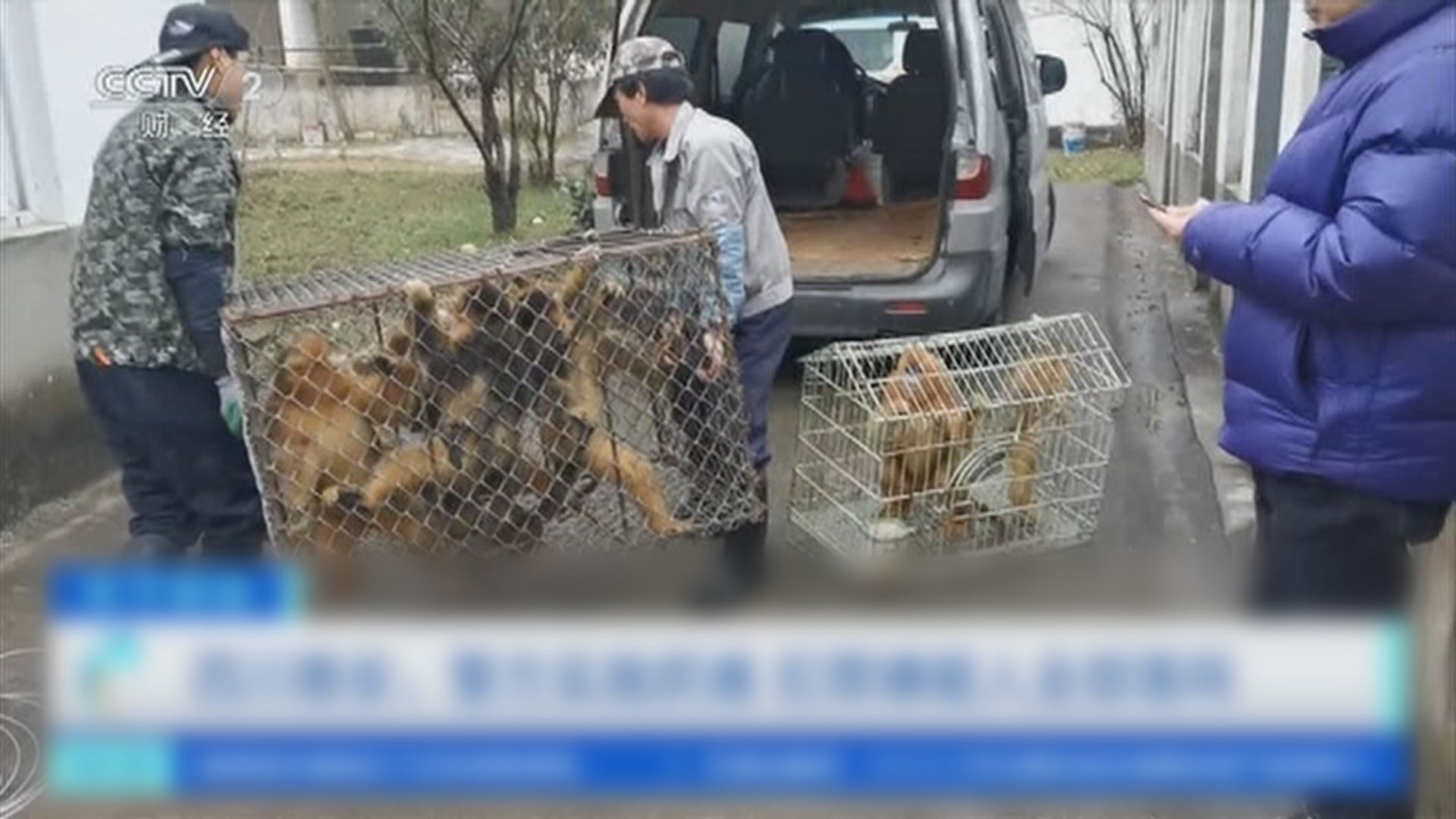 公安部三年間偵辦七萬多宗涉野生動物刑事案