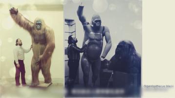 研究揭史上最大靈長類滅絕之謎 步氏巨猿未能隨環境演化