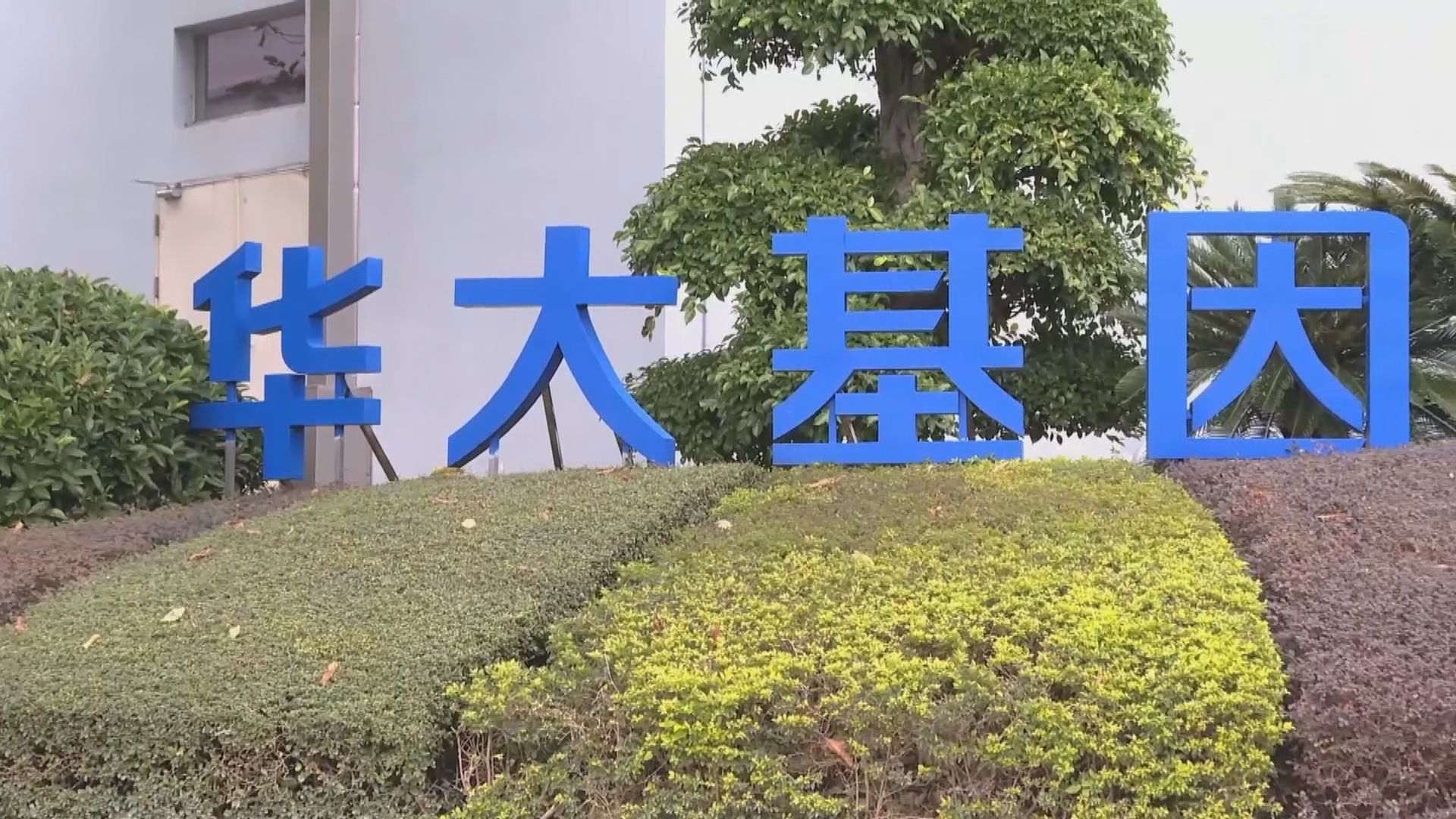 華大集團：反對美國制裁　正積極溝通　以獲得公平對待