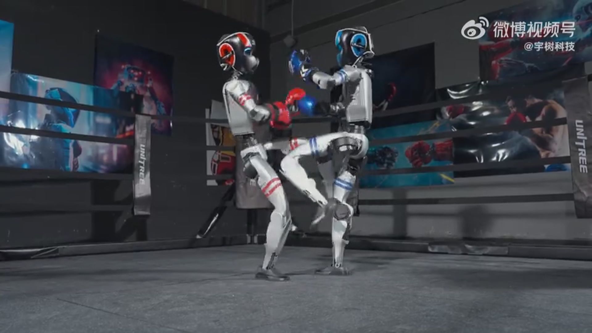 浙江周日將舉行首個機械人格鬥擂台賽　為人形機械人走入現實提供更多可能性