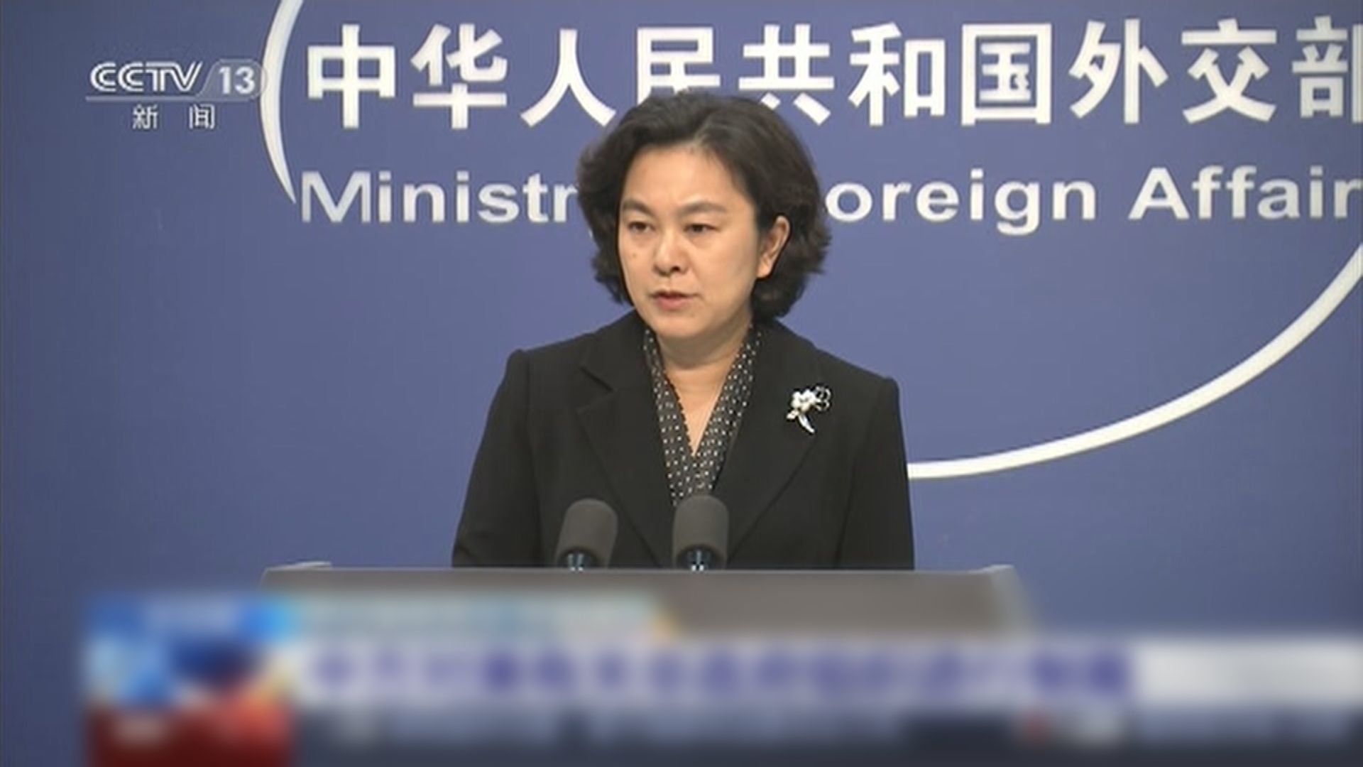 中國制裁人權觀察等非政府組織