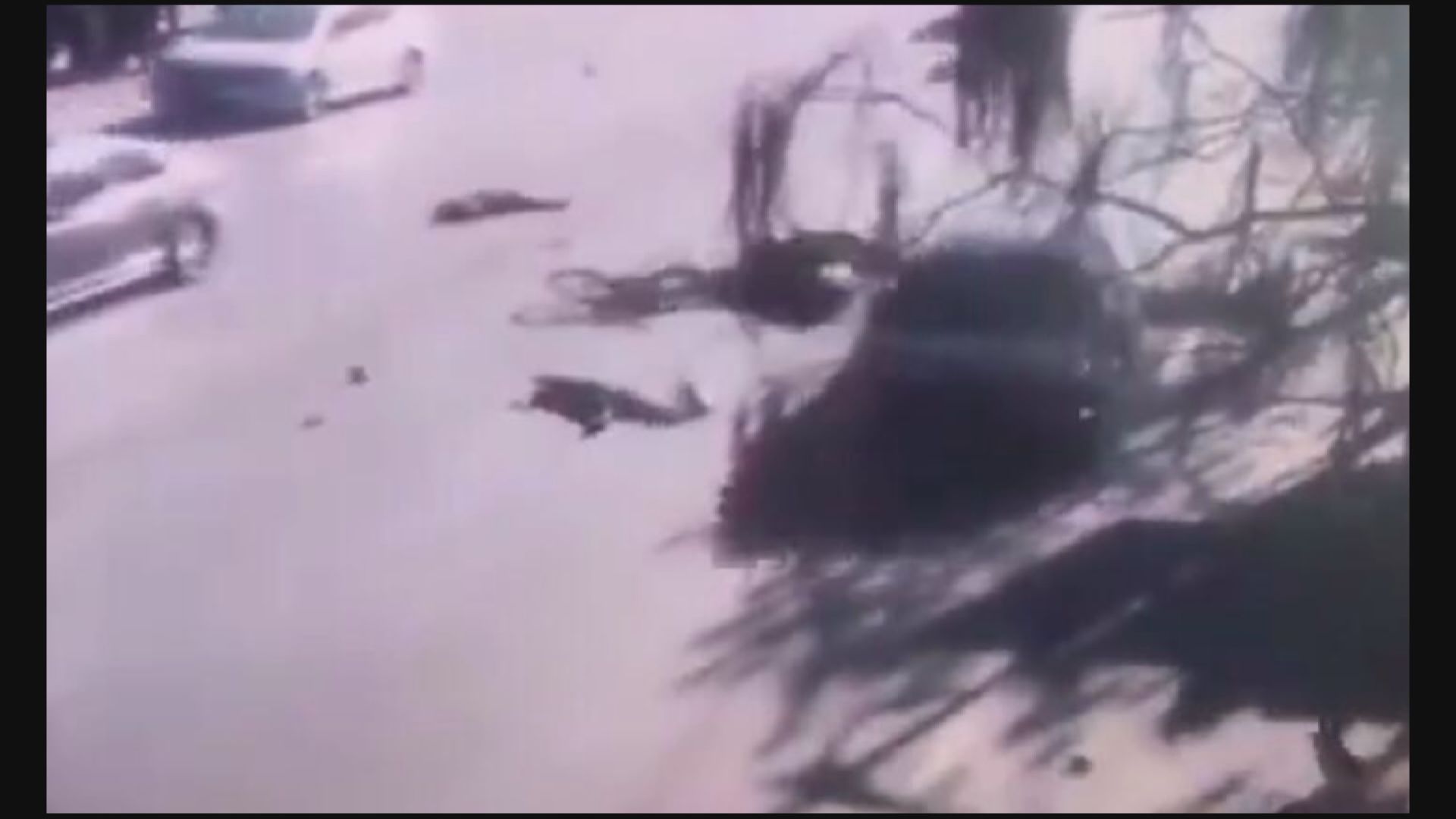 遼寧有學生遭私家車撞倒釀5死18傷