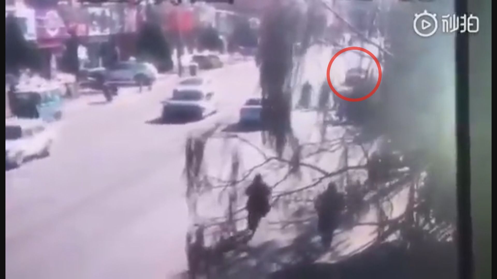 遼寧有學生遭私家車撞倒釀6死17傷