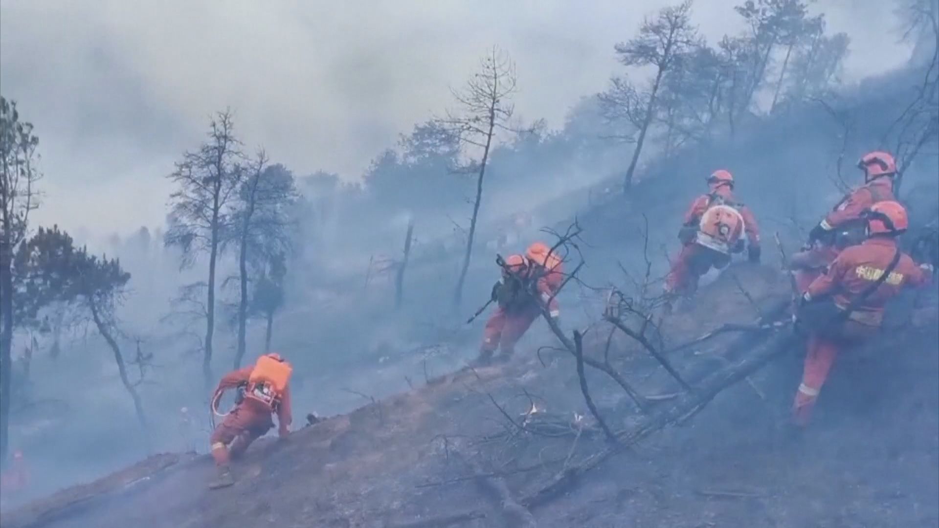 雲南消防直升機墜落洱海　當局仍在搜救兩機組人員