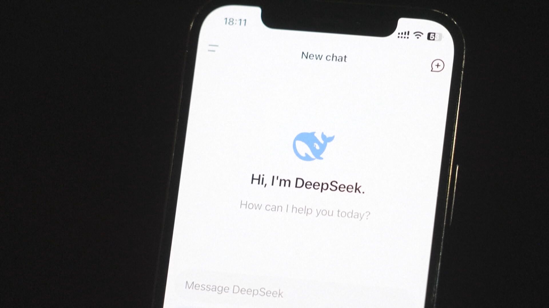外電：DeepSeek自行研發AI晶片
