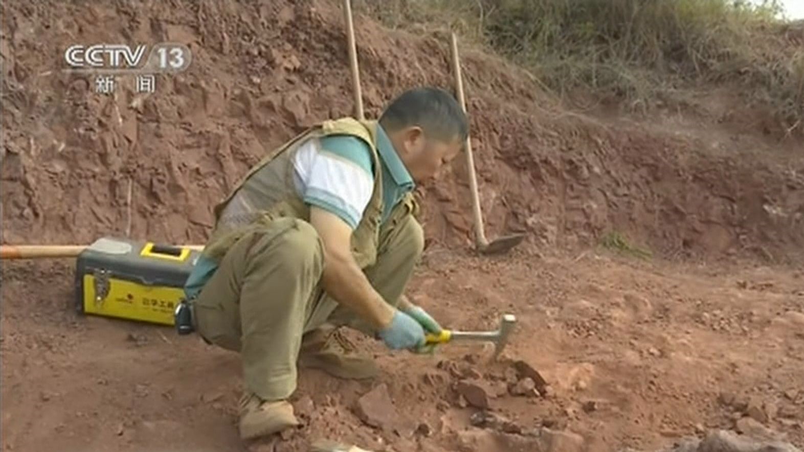 雲南祿豐村民發現恐龍化石骨架
