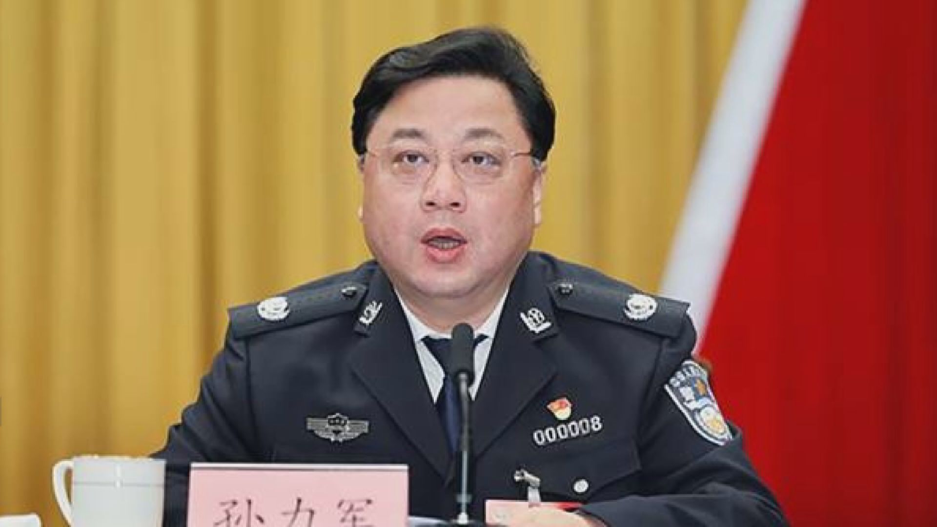 公安部副部長孫力軍被免職