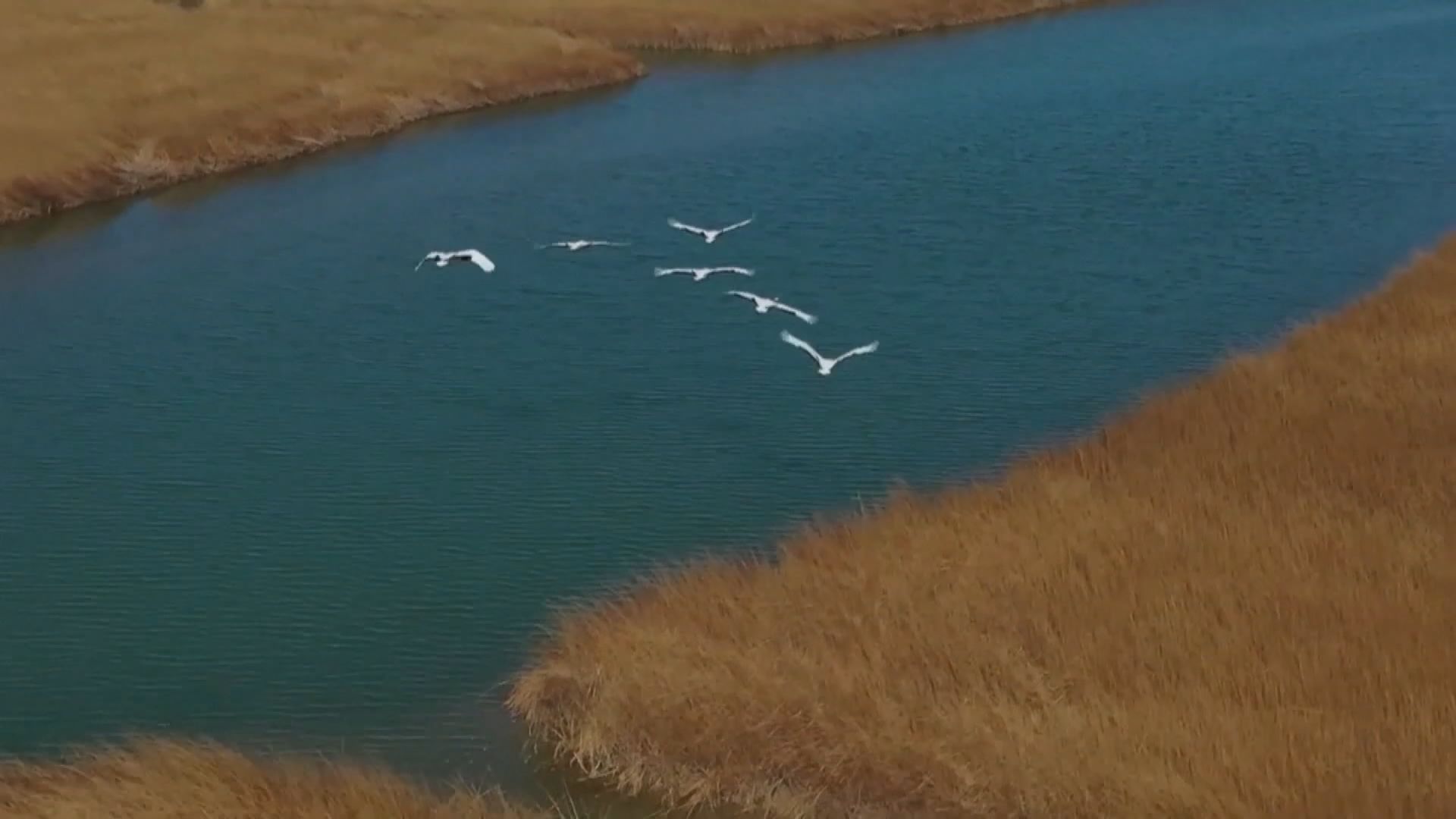 中國首個「全國生態日」發布生態保護紅線藍皮書