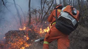 雲南兩場山火致4死 四川雅江山火擴大當局加緊撲救