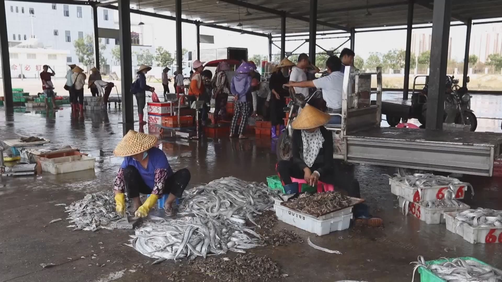 中國四大海域今起進入休漁期