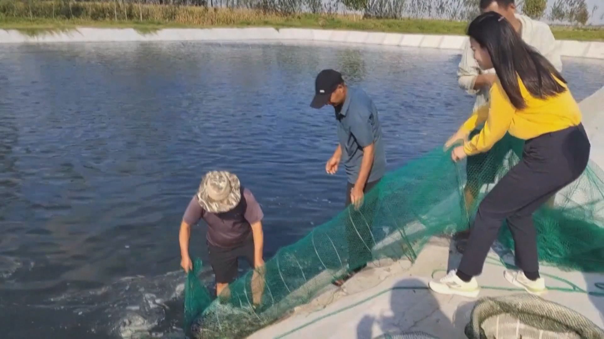 國新辦發布《中國的遠洋漁業發展》白皮書