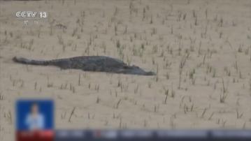 珠海中山多處水浸 華南強降雨料周日後減弱