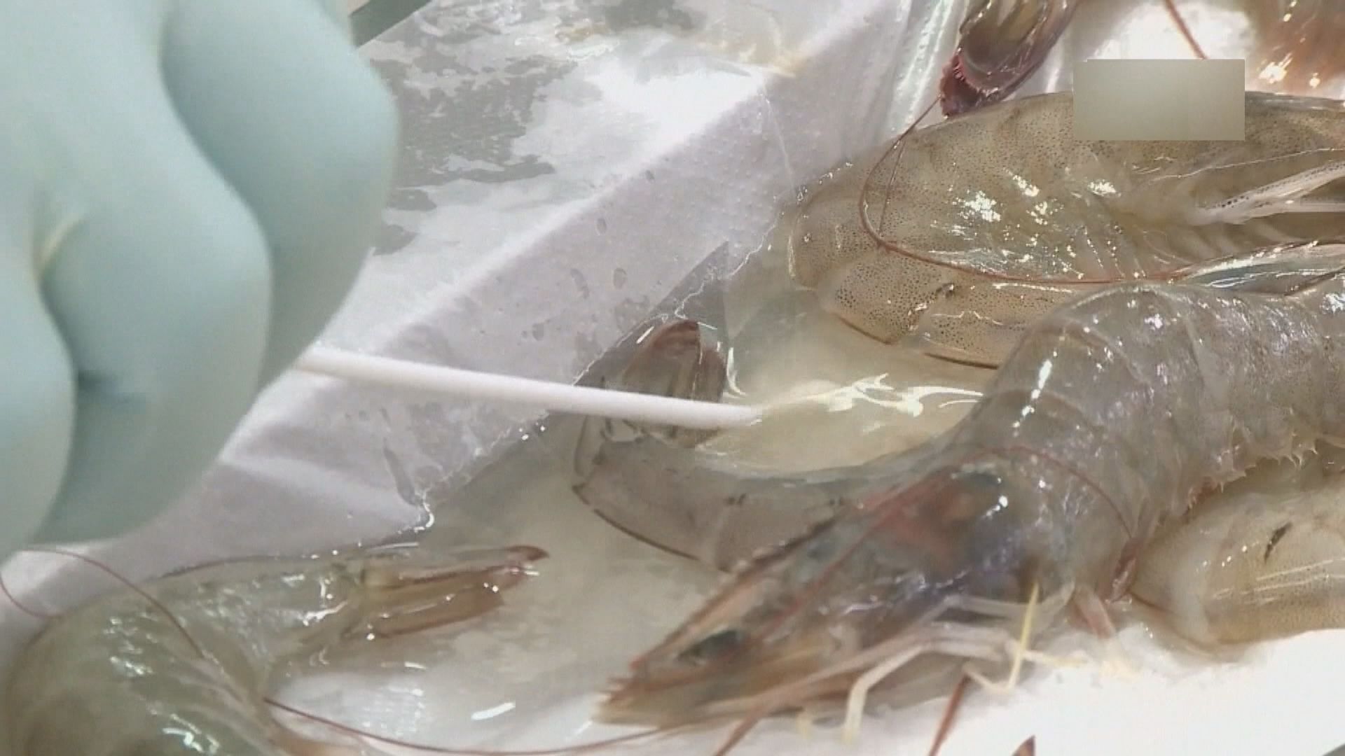 內地進口冷凍食物要有核酸檢測報告才可上市銷售