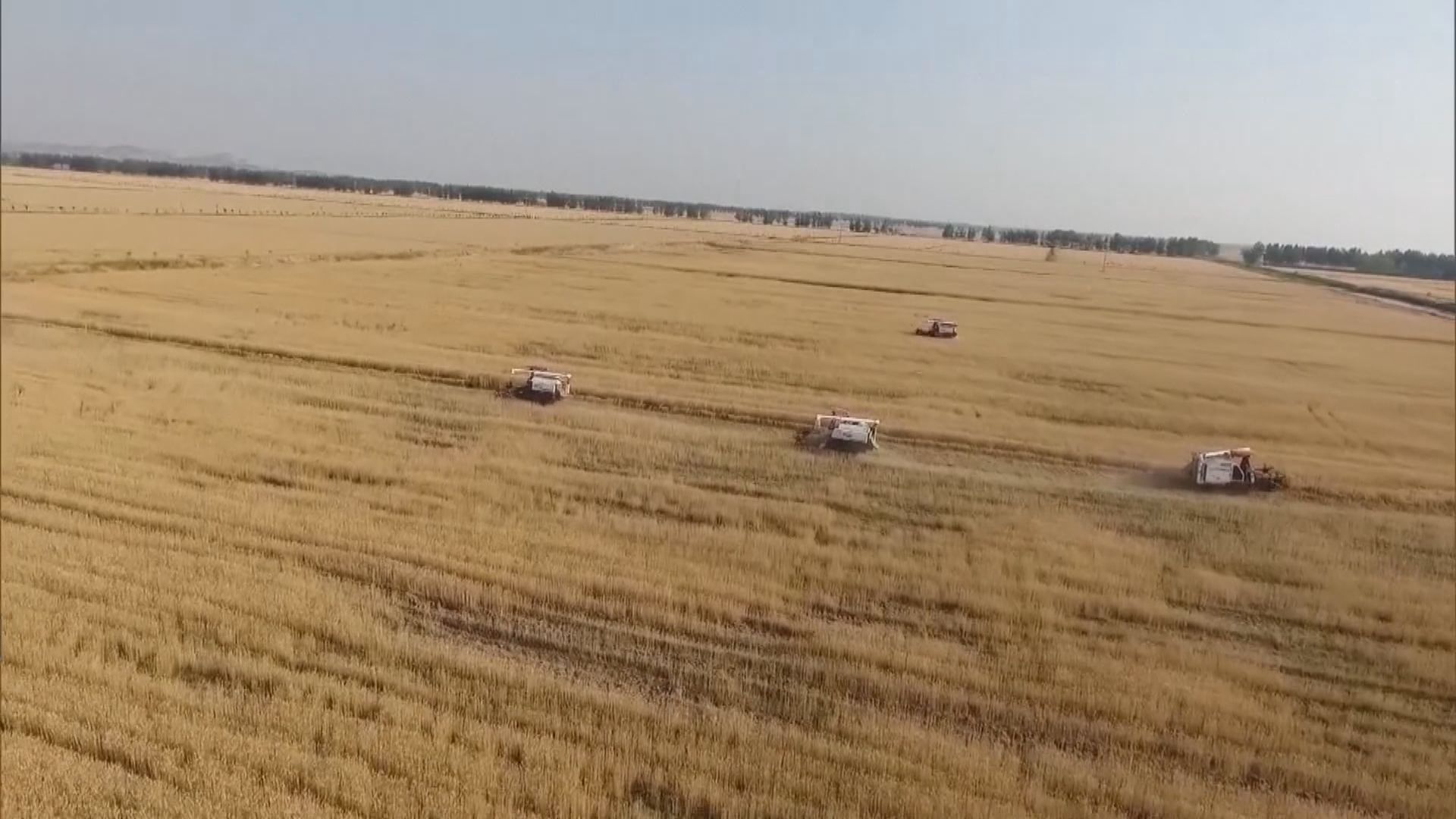 中方代表稱糧食不安全是全球發展不平衡結果