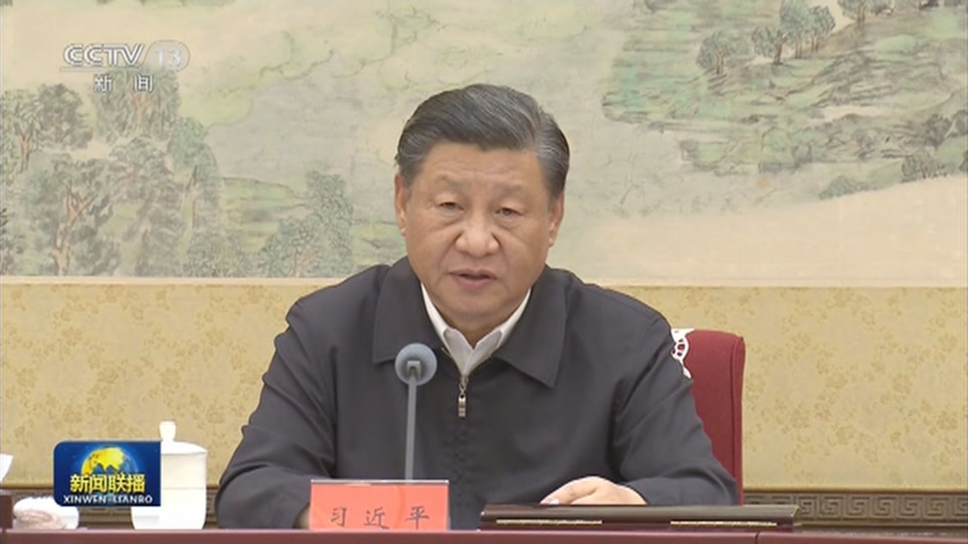 習近平主持黨外人士座談會 強調做好下半年經濟工作