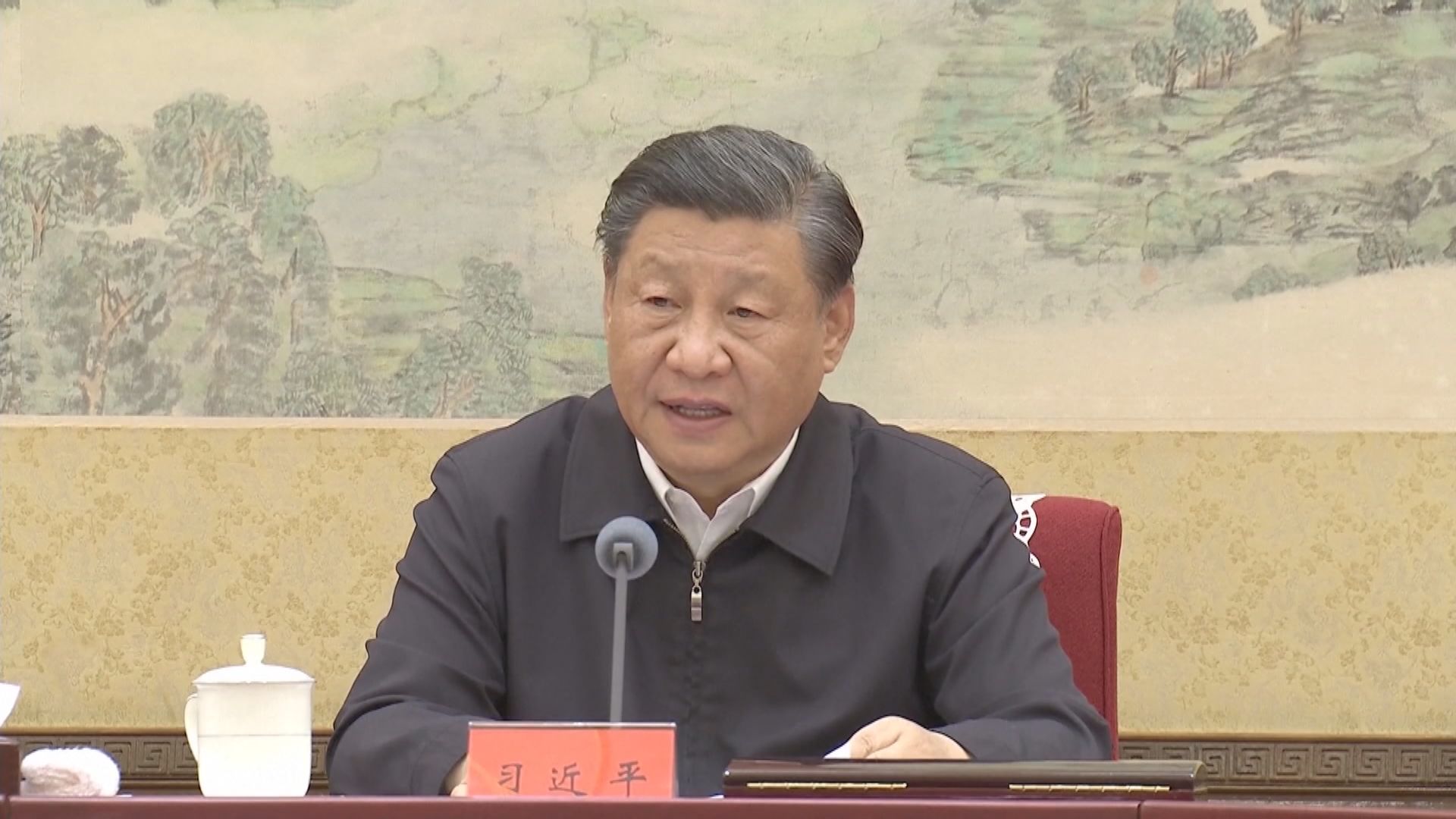 習近平：加大宏觀政策調控力度 積極擴大總需求