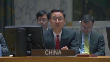 中方重申支持兩國方案解決巴以問題