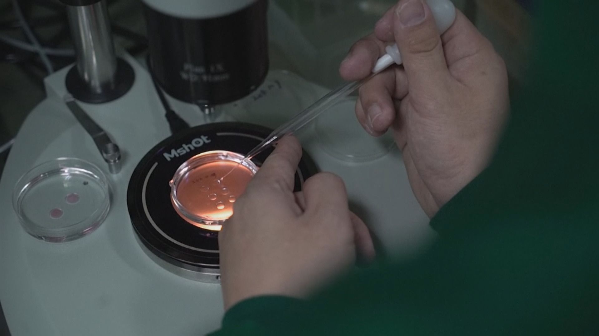 科技部要求暫停賀建奎等人科研活動