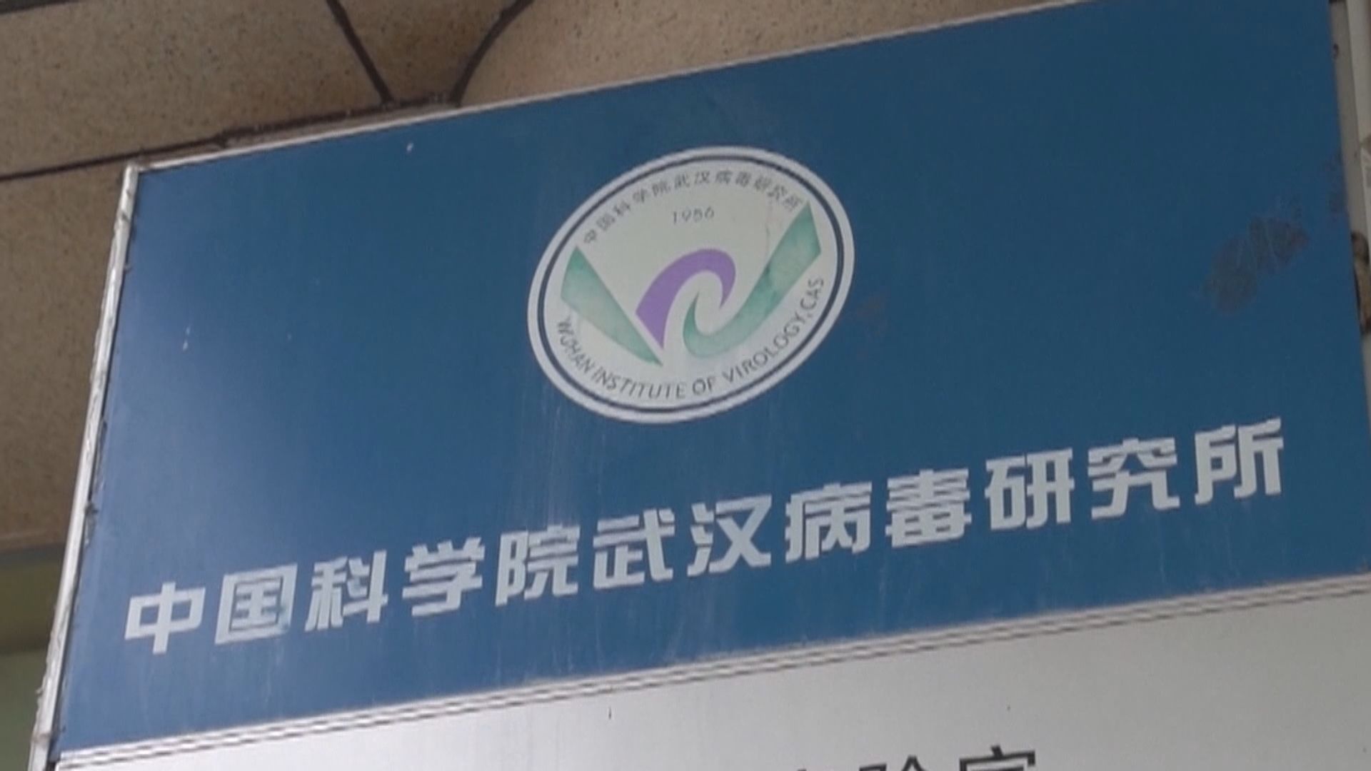 中國駐德大使館批《圖片報》炒作陰謀論