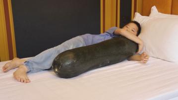 三伏天另類消暑良方　重慶民宿推「抱着冬瓜睡覺」