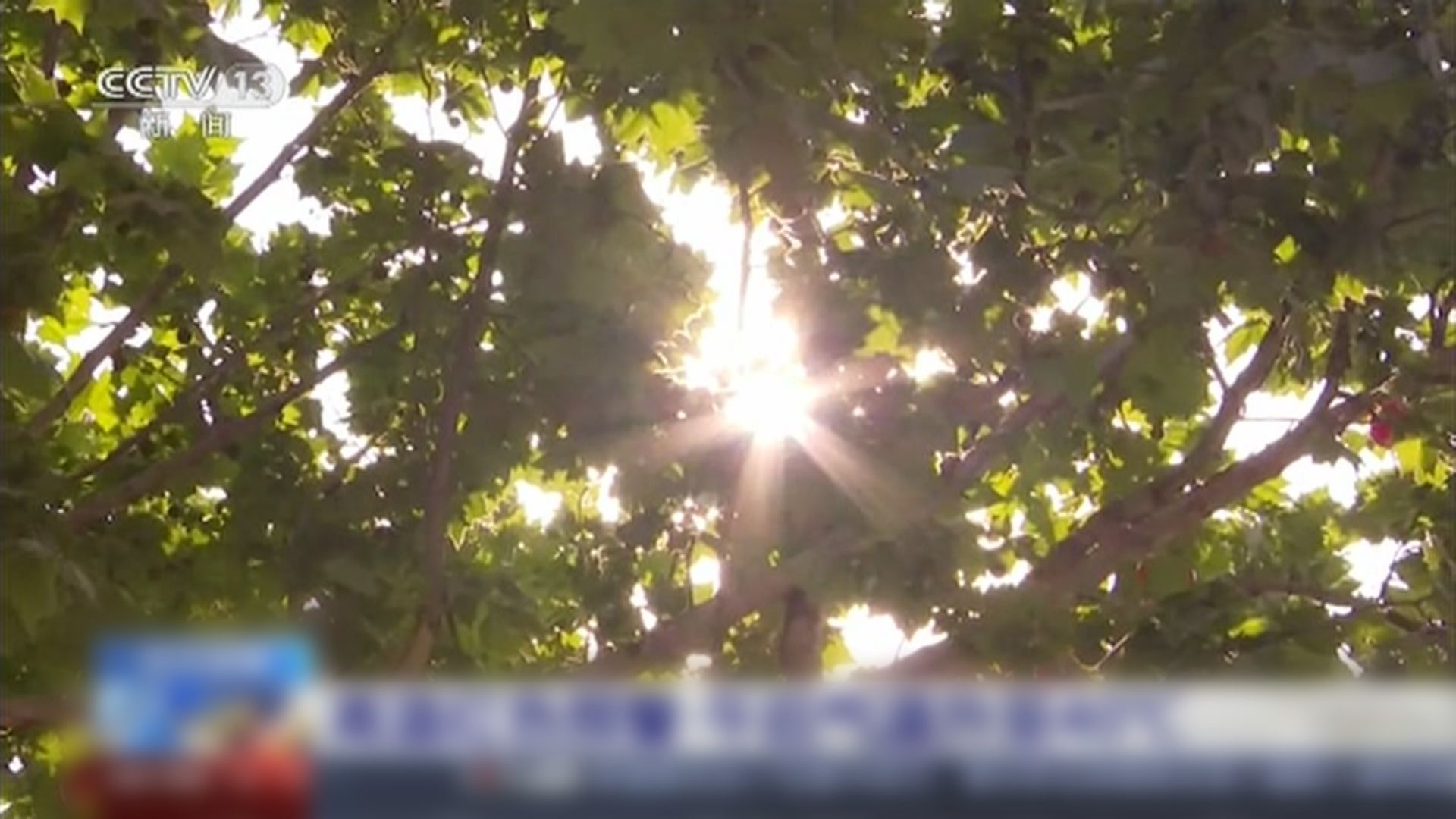 華北黃淮高溫天氣持續