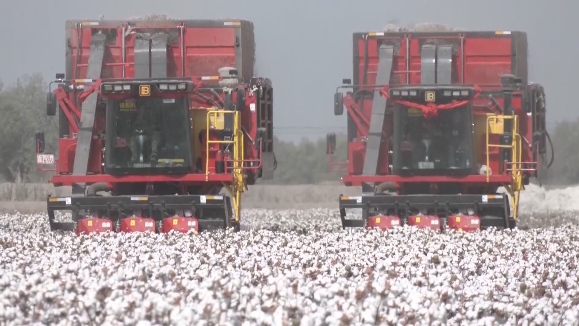 禁新疆產品掀風波　英特爾發聲明指「深表歉意」 