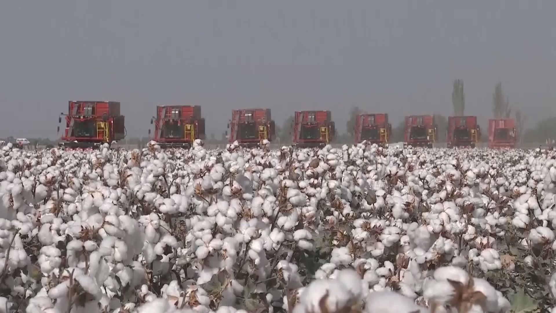 英特爾就不用新疆產品致歉　外交部促尊重事實