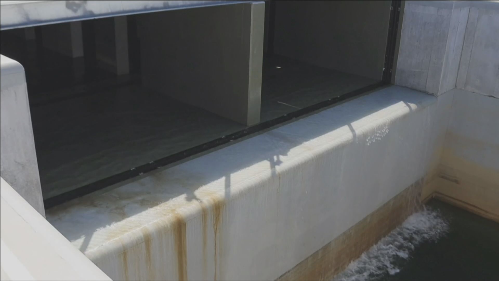 中國駐日使館：中方沒受邀參與日本核污水排放檢測