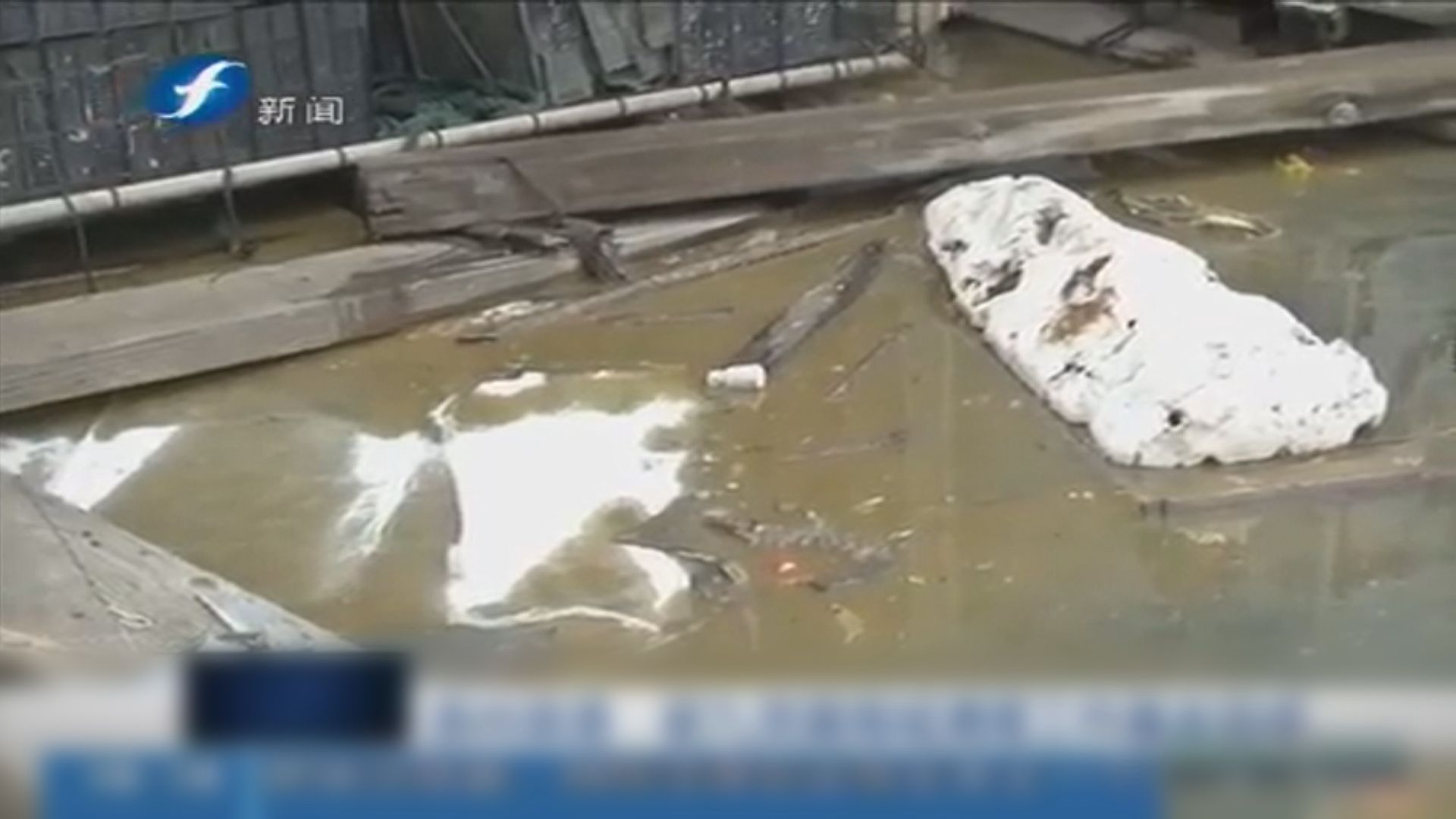 福建泉州洩漏近7噸有毒物質碳九