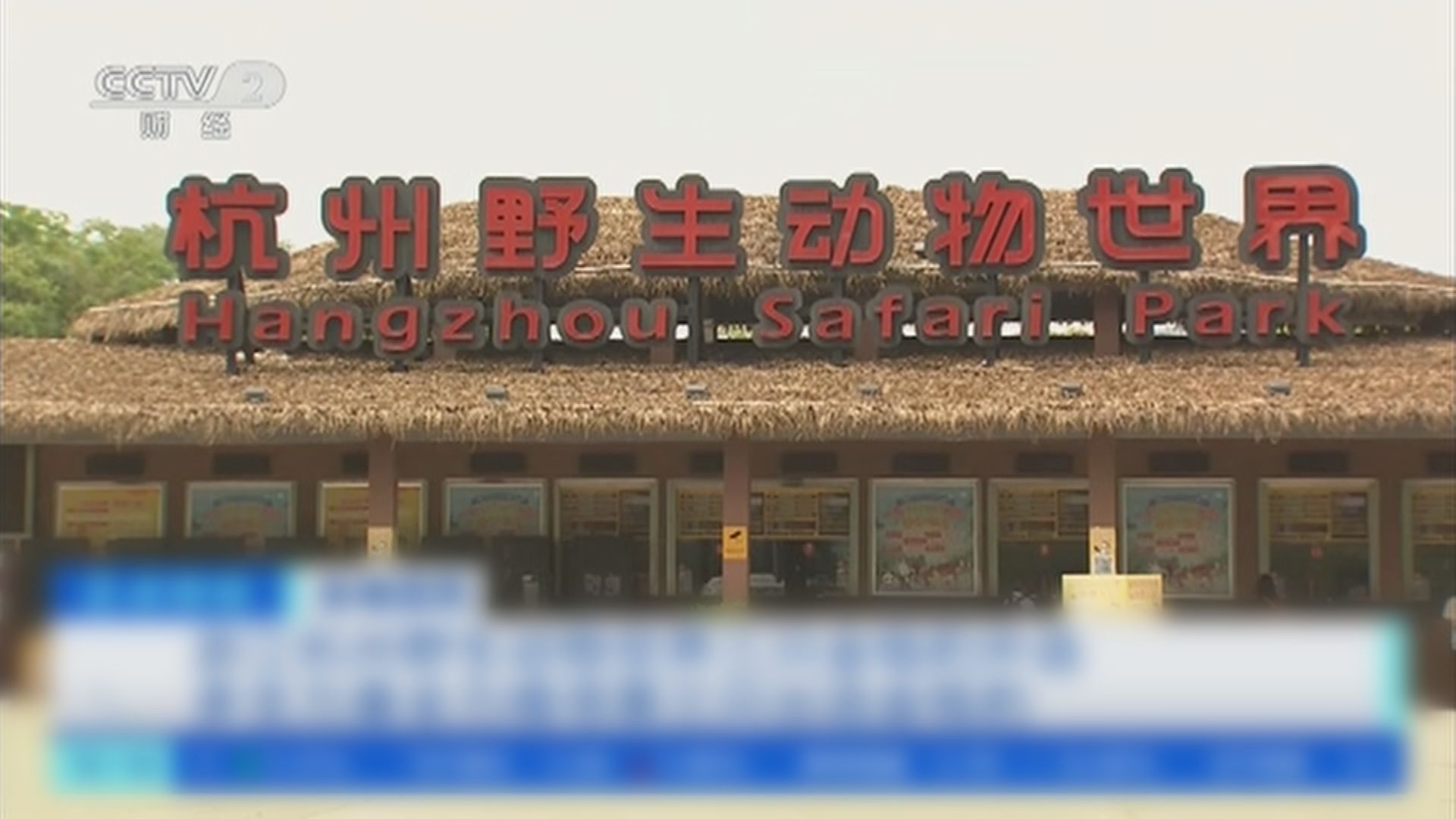 杭州野生動物世界走失金錢豹　外界批瞞報公安立案調查