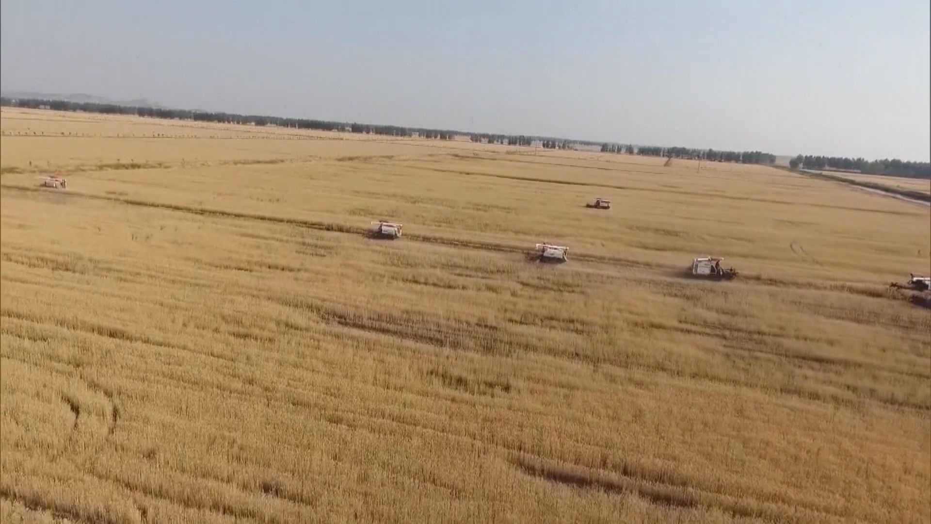 李克強要求確保全年糧食產量保持在1.3萬億斤以上