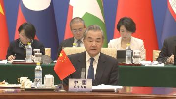 王毅：瀾湄國家將堅決打擊電詐網賭等跨境犯罪