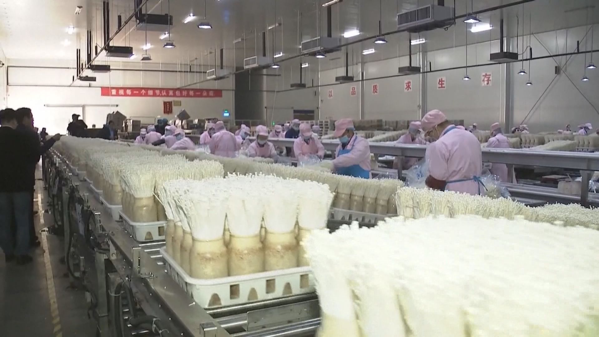 內地六商會籲團結對抗美國「對等關稅」　開拓國內外市場