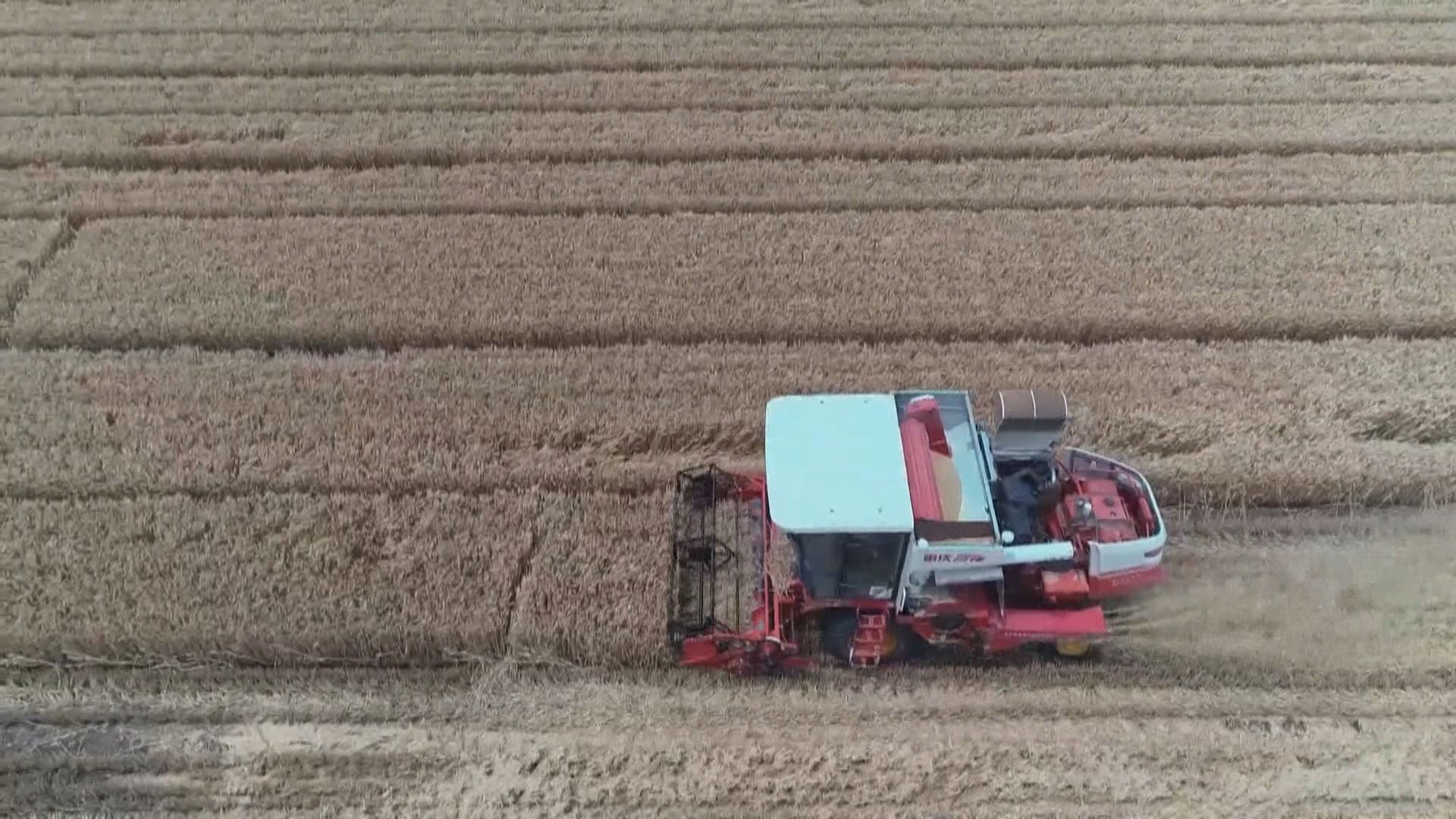 中央一號文件提出要加快農村農業現代化