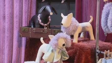 內地寵物經濟發展蓬勃　各種新奇產品推出市場