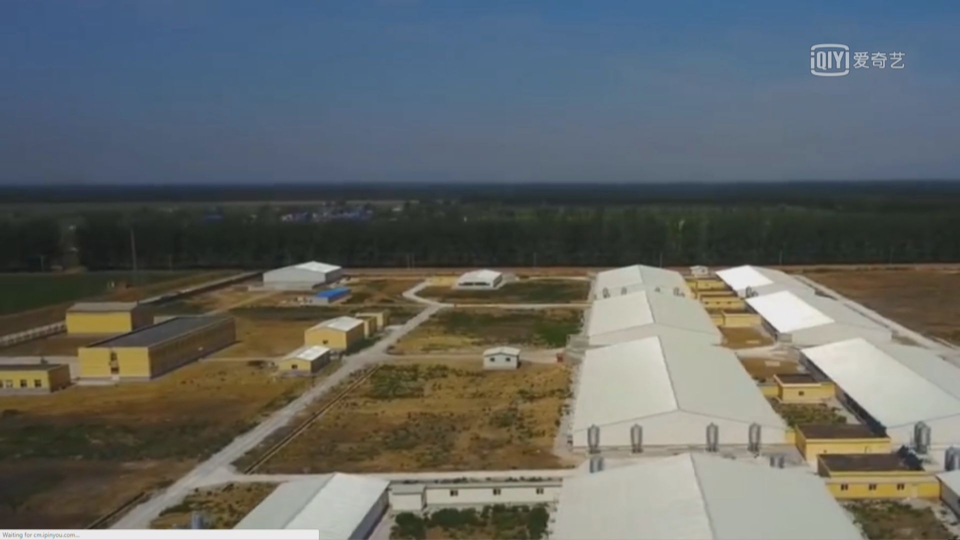 內地豬場置干擾器防投毒影響民航安全