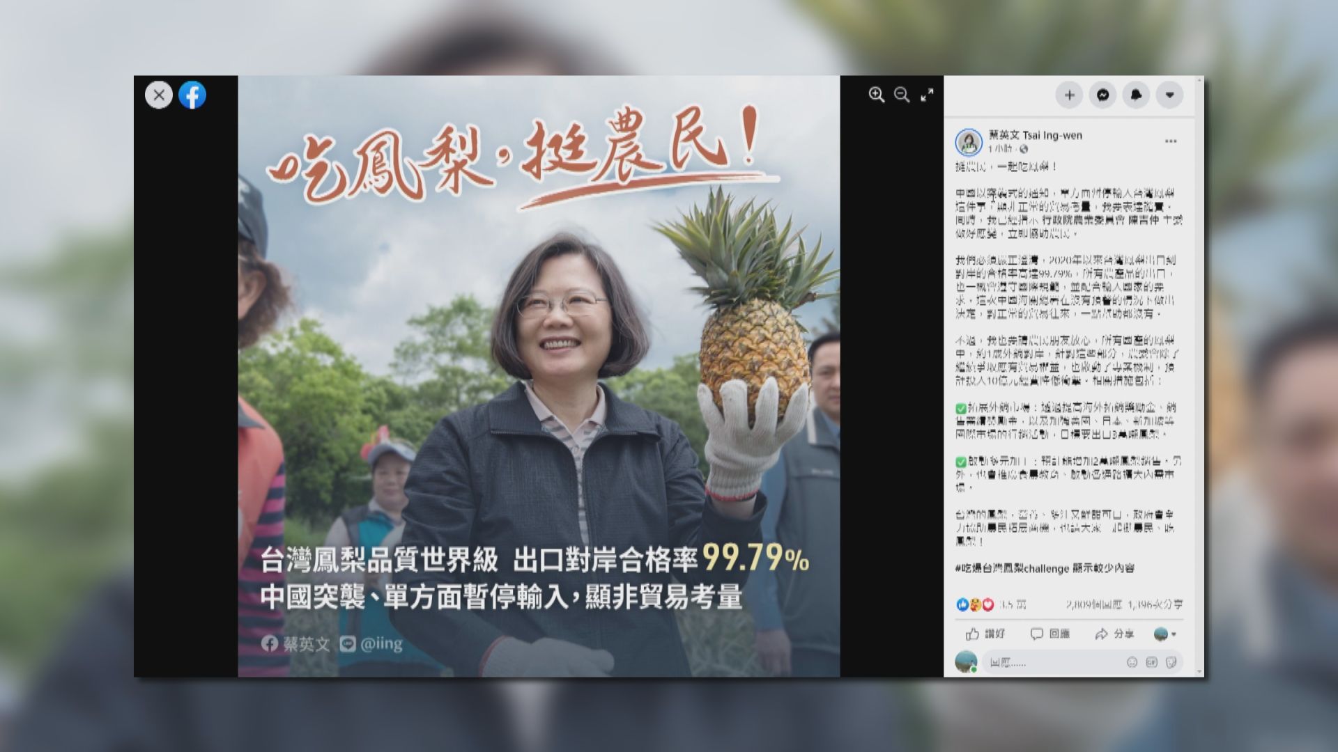 大陸三月起禁台灣菠蘿進口　蔡英文：非正常貿易考量