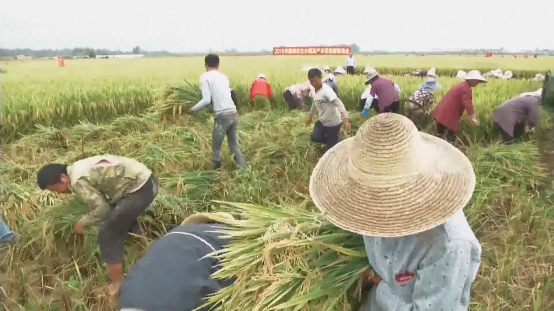 國務院白皮書：貧困農村居民人均收入年均增11.6%