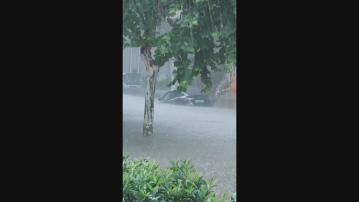 河南鄭州降暴雨多處水浸　全市停工停課