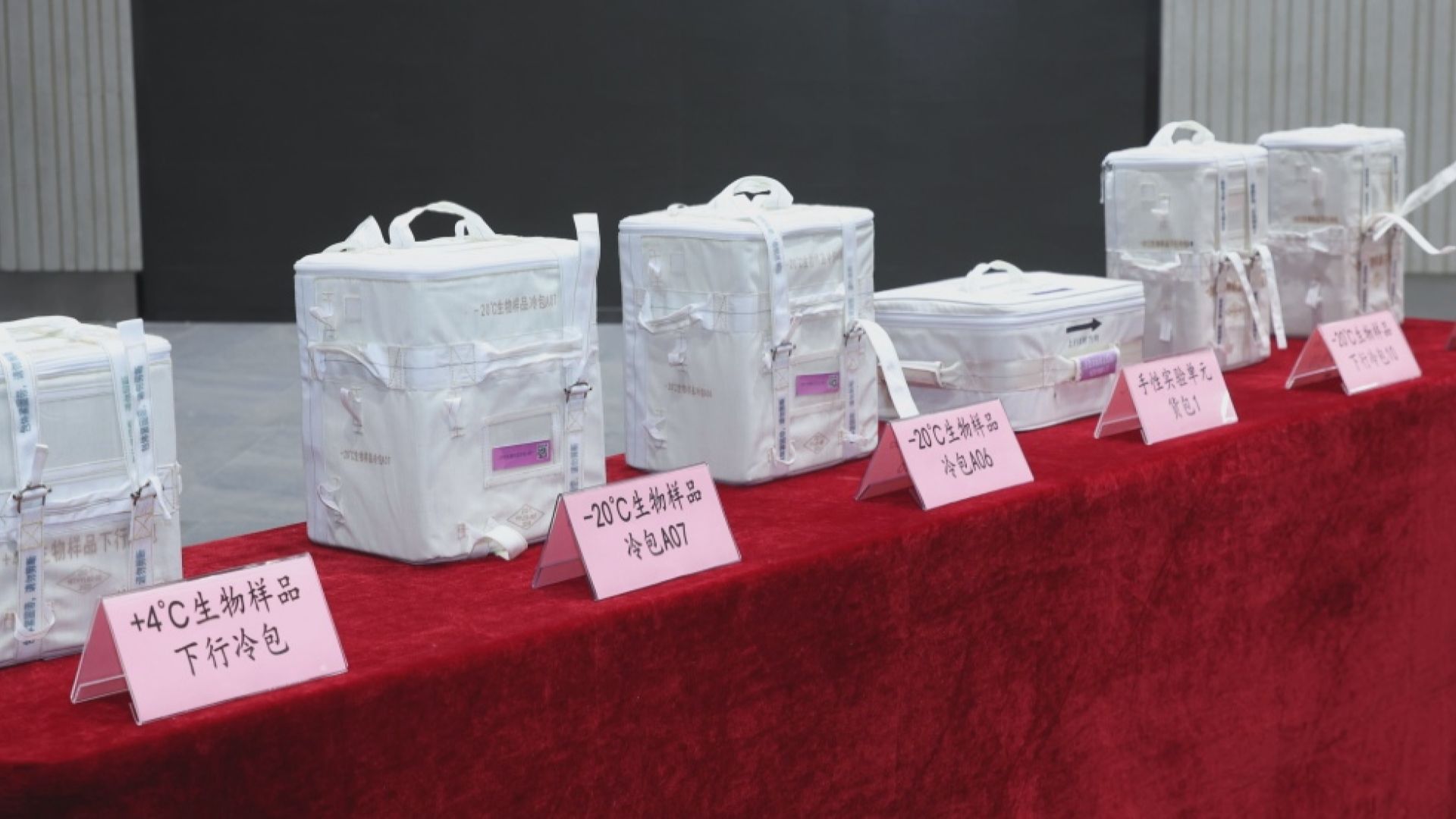 中國太空站第十批空間科學實驗樣品順利返回並交付科學家