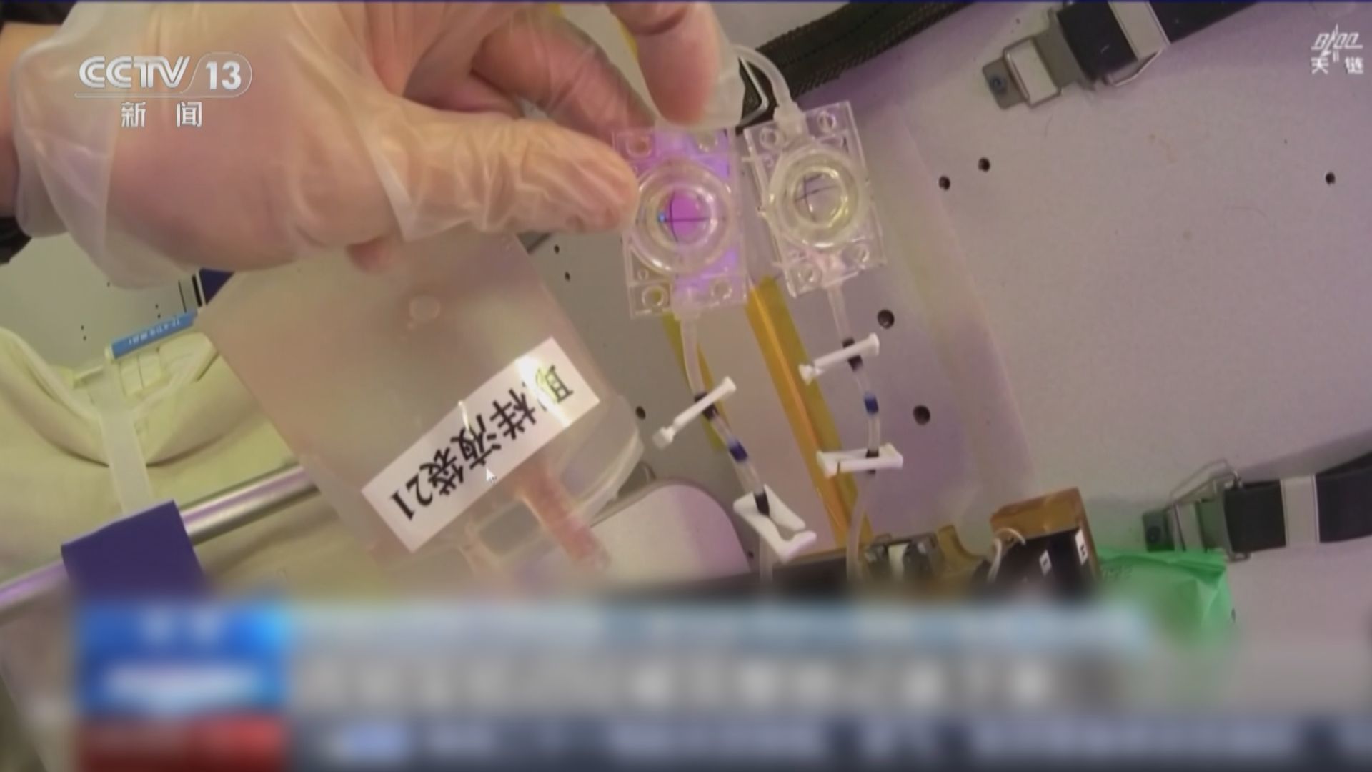 中國太空站第十批空間科學實驗樣品順利返回並交付科學家