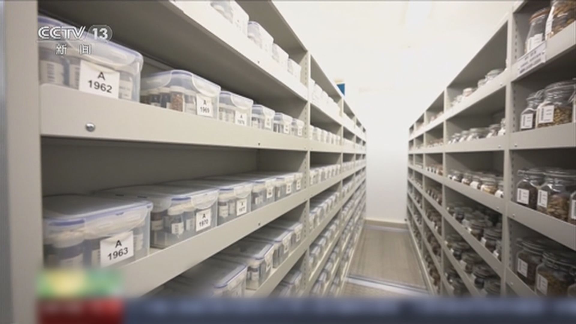 於雲南昆明的亞洲最大「種子銀行」儲存逾萬種種子