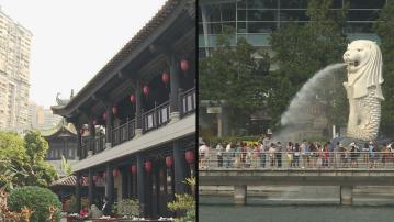 中國、新加坡下月9日起互免簽證