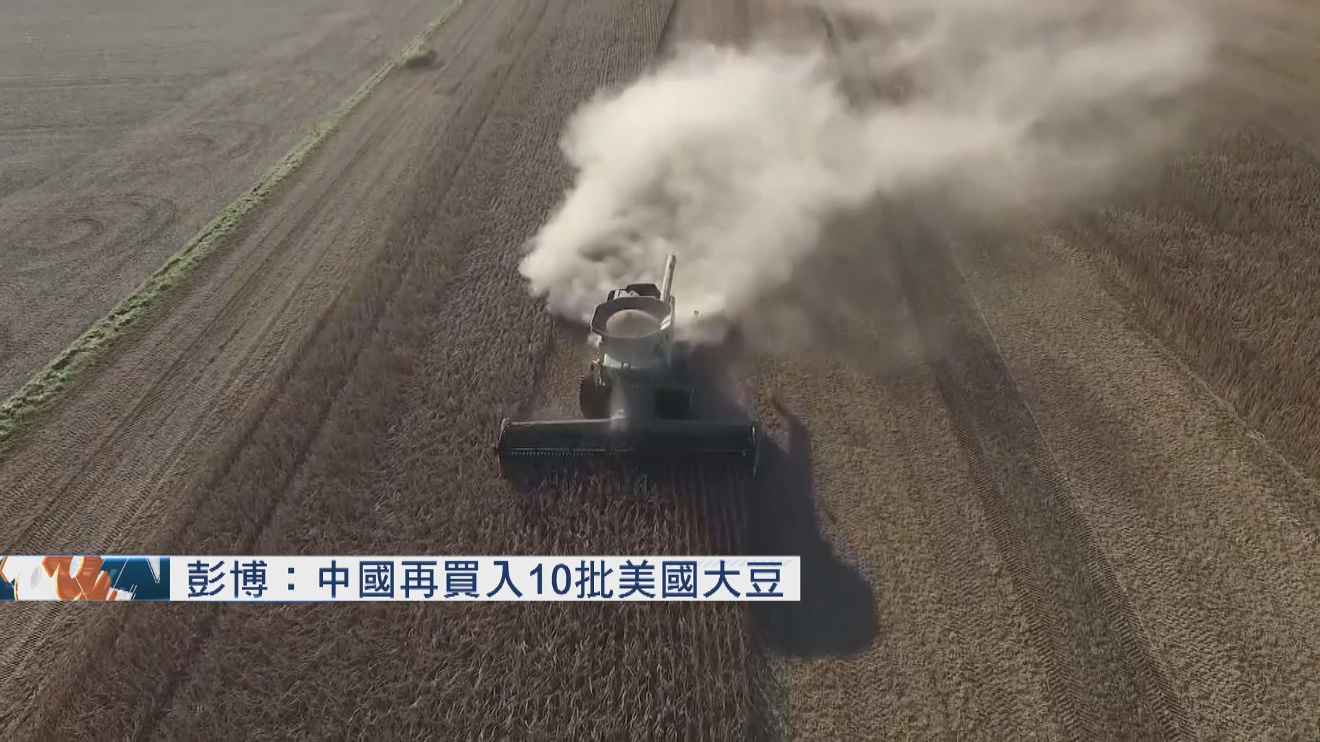 彭博：中國再買入10批美國大豆