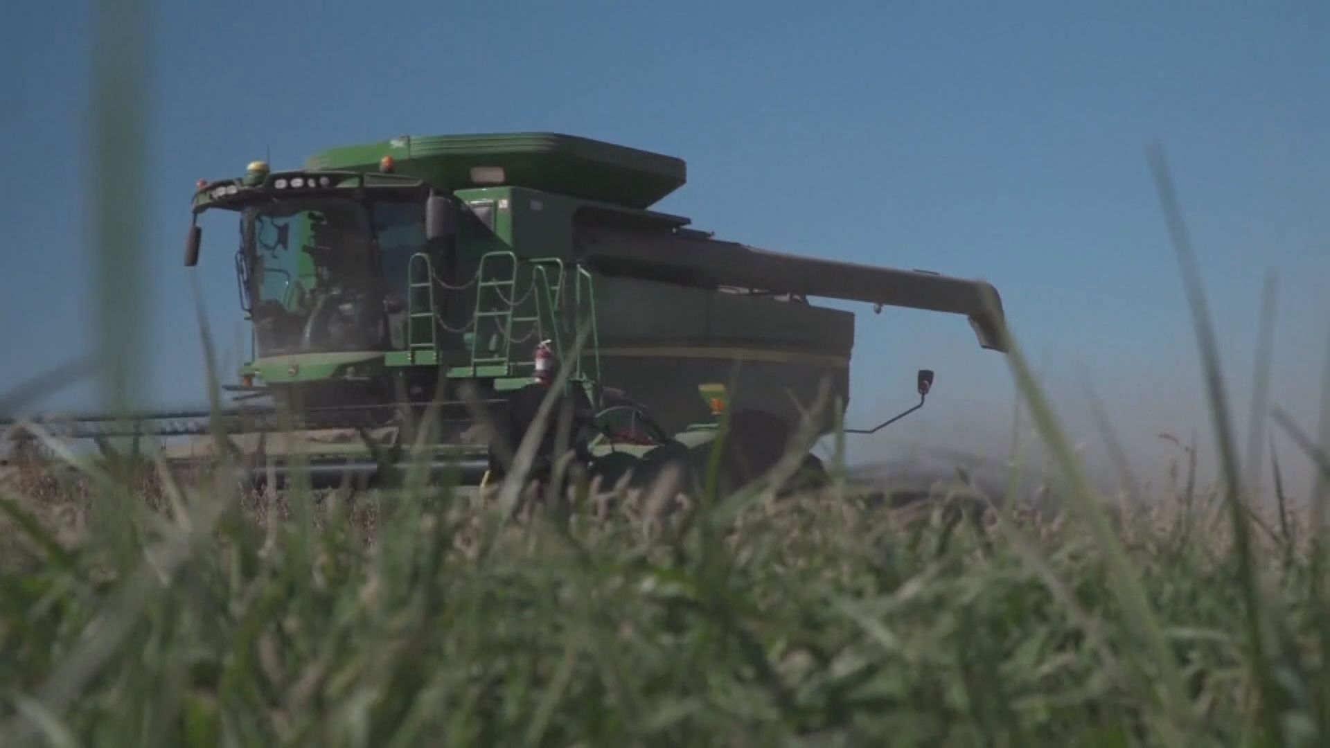 外電：中美簽署貿協前夕　中國增購巴西大豆