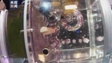 中國太空站四條魚狀態良好 但有顛倒游泳等現象